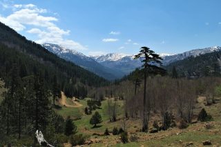 Βάλια Κάλντα